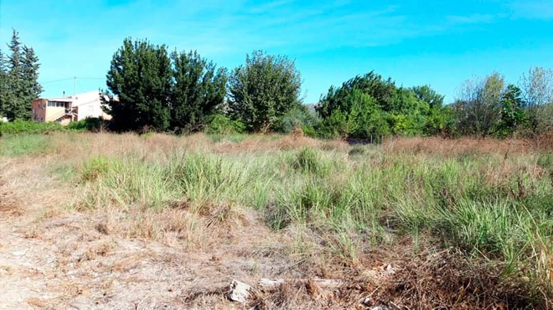 Developable Murcia plot with residential use
