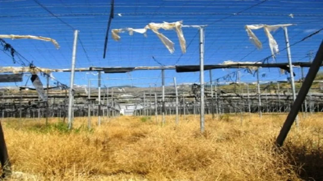 Large rural plot in Ugíjar