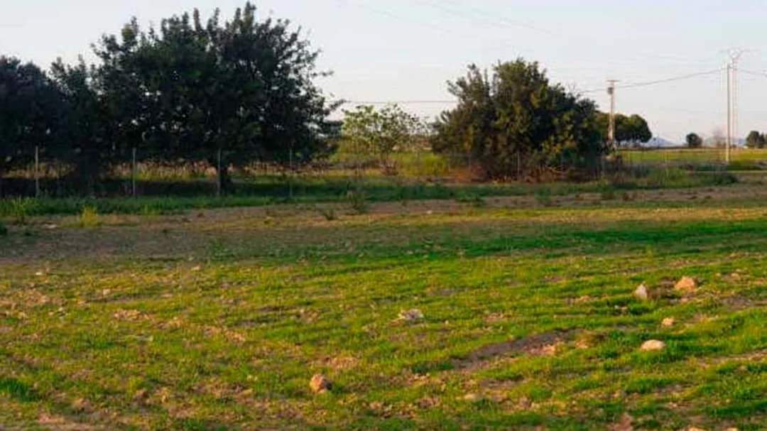 Rural Murcia plot, 49,501 m²
