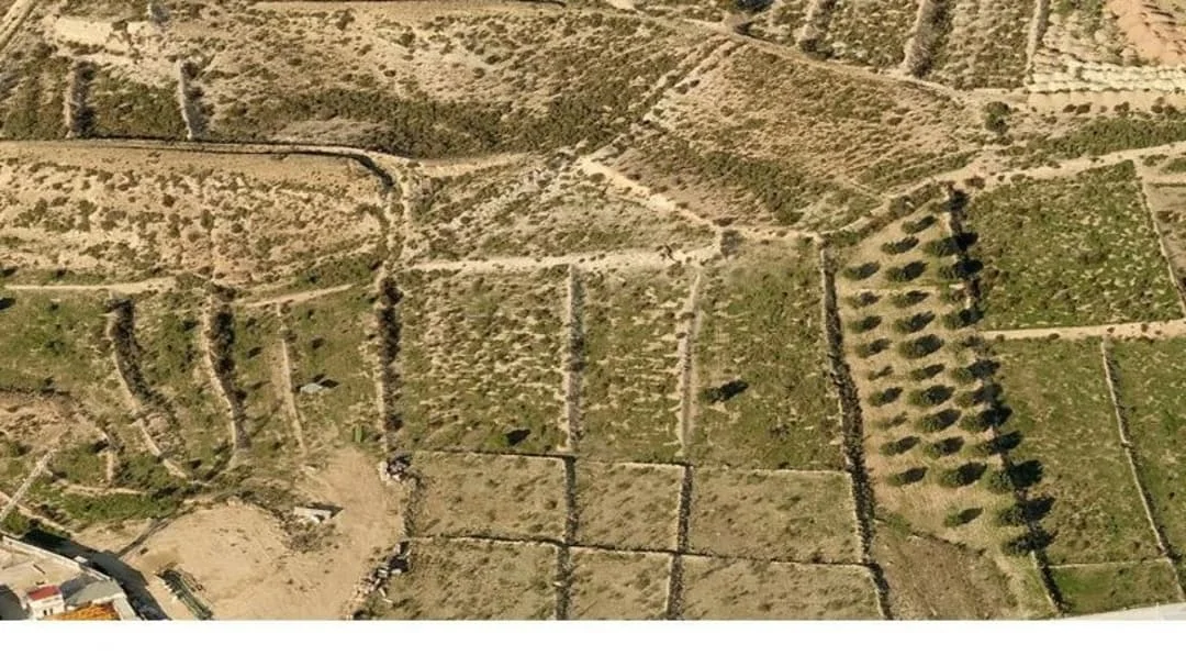 Residential developable land near Murcia