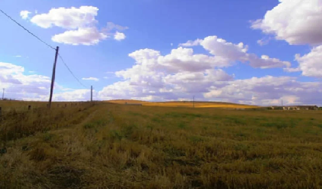 Developable land in Aldeatejada, 50,882 m²
