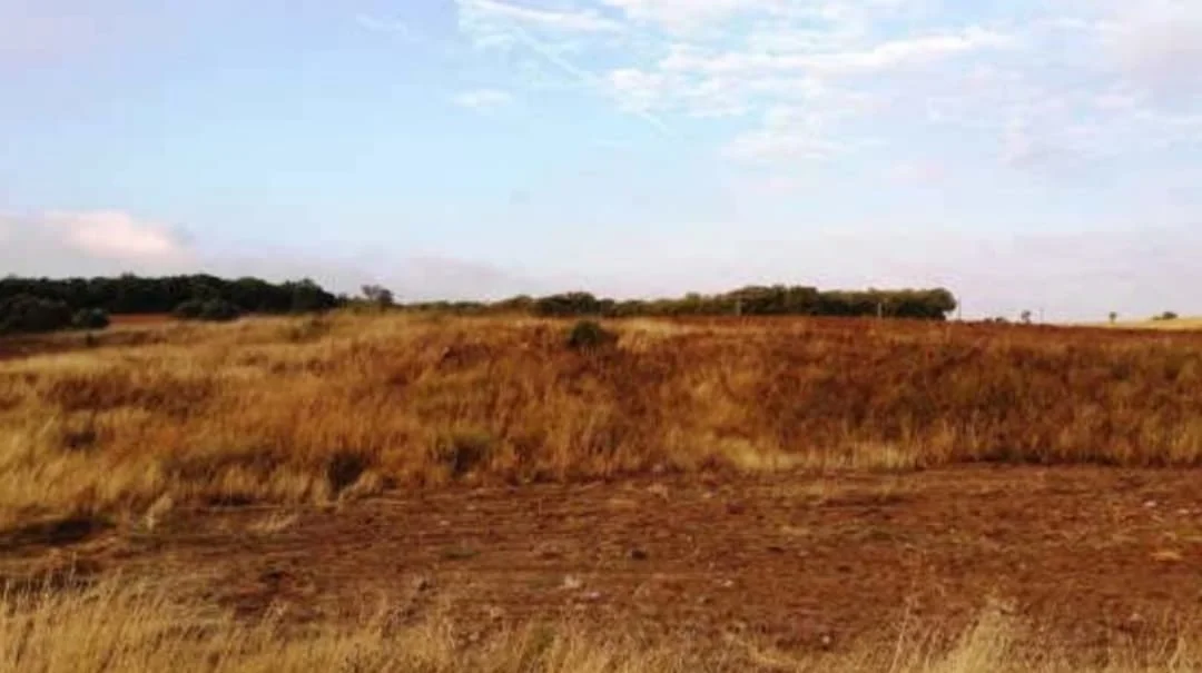 Large residential development land in Pioz