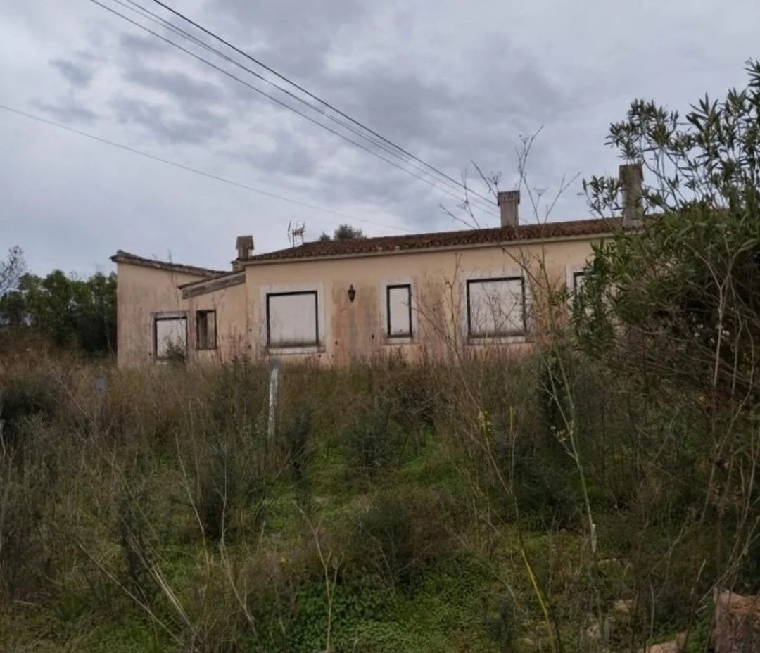 Chalet with 6,989 m² plot