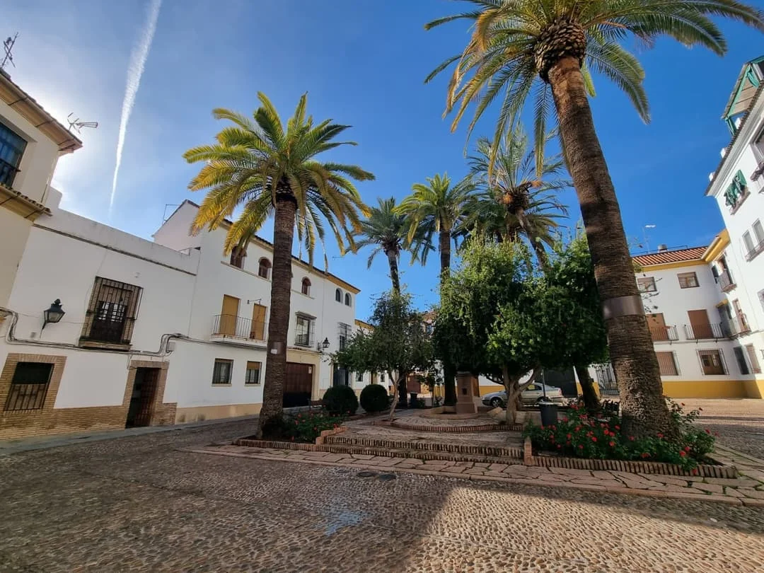 Local comercial de 638 m² en Córdoba centro