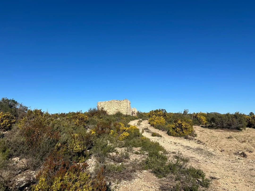 Gran finca rústica en Alfafara, 166 hectáreas