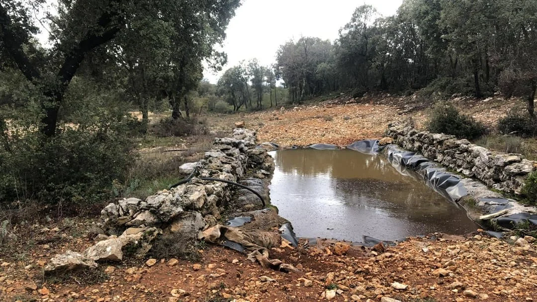 Finca rústica de 170 hectáreas con caza