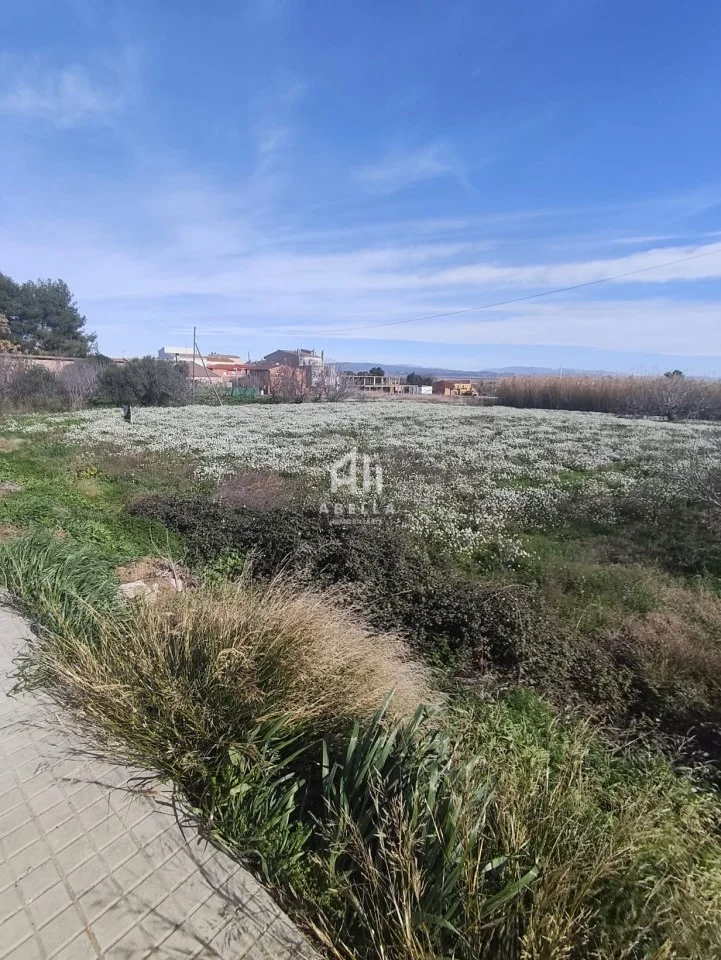 Cinco parcelas en Alguaire, 500–600 m²