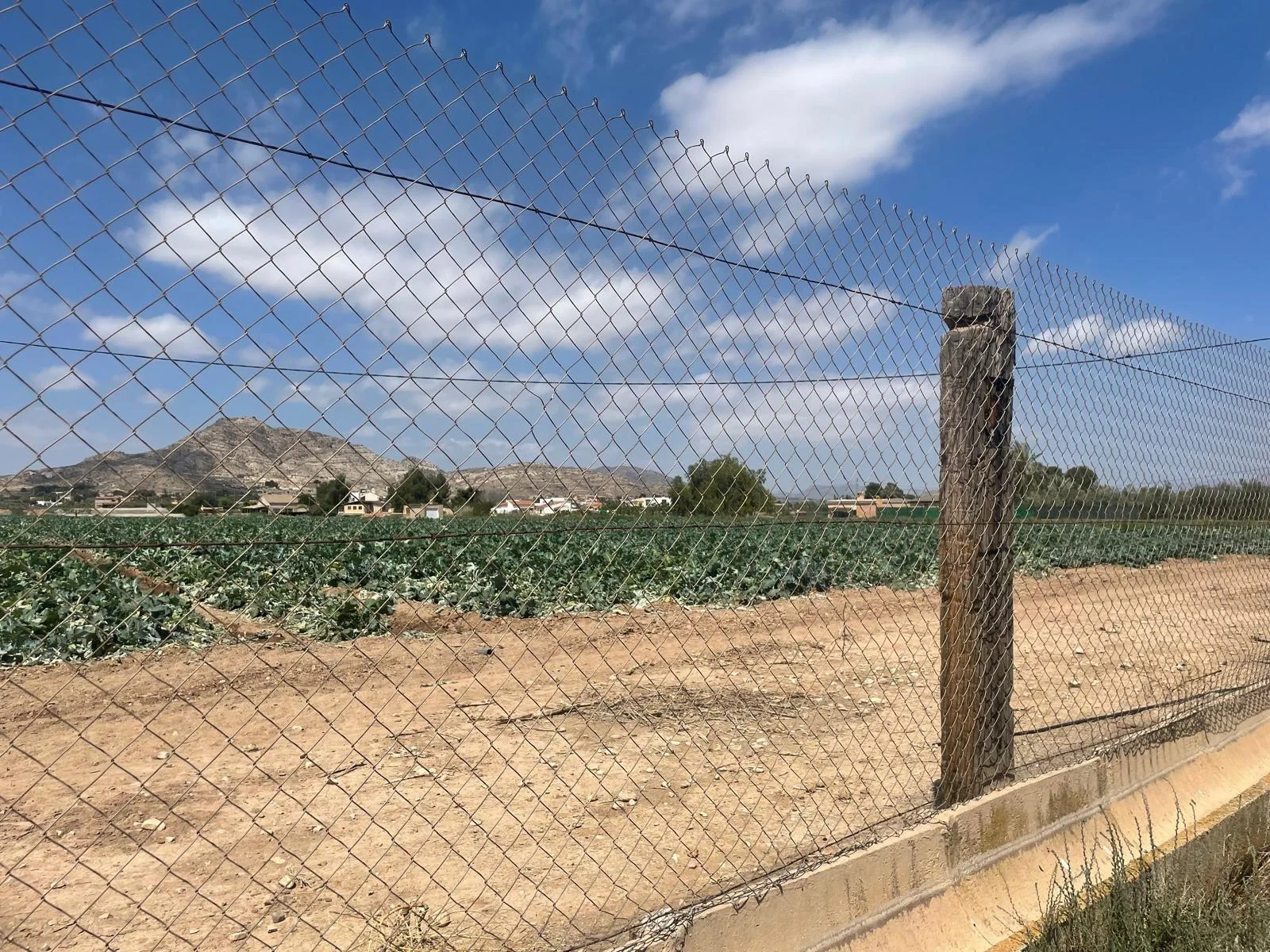 Aspe land plot with 21,000 m²