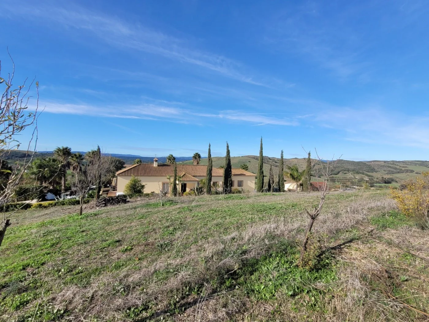 Country estate with horses near Sotogrande