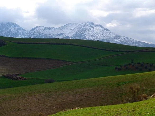 Large rural estate near Ardales