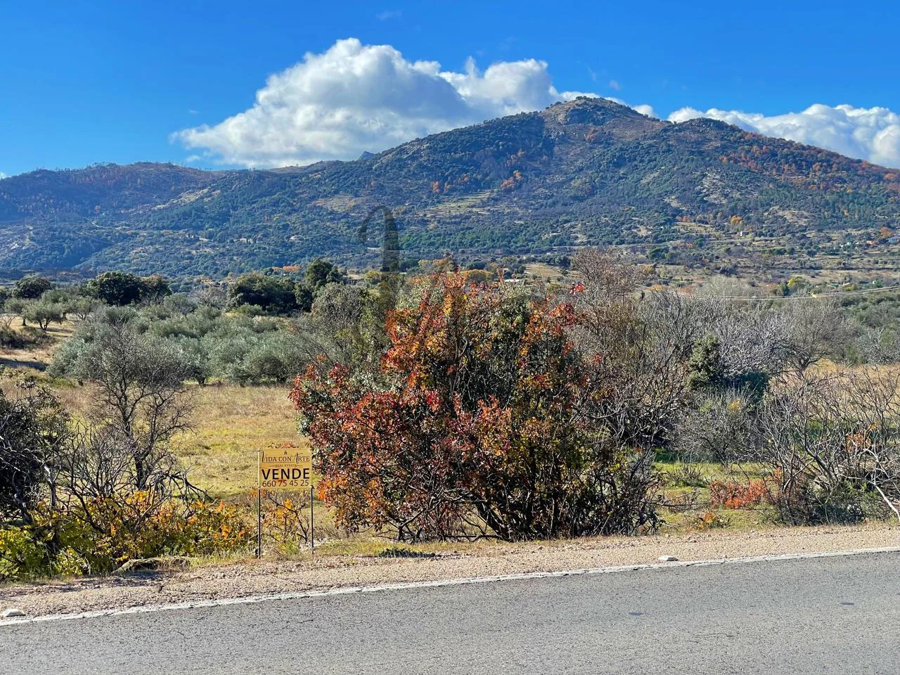 Parcela de viñedo de 4.589 m² cerca de Cadalso