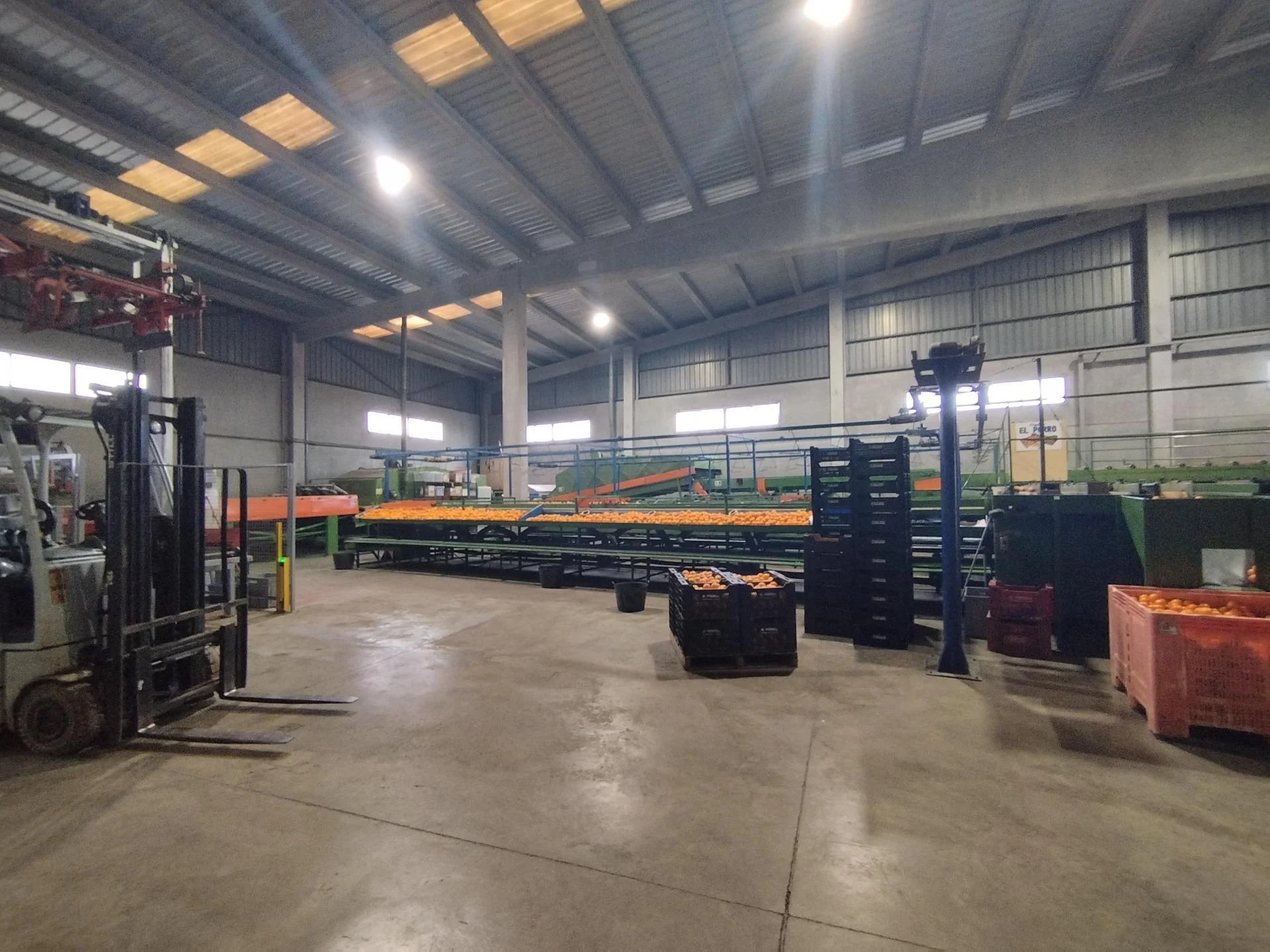 Industrial unit in Massamagrell, 1,800 m²