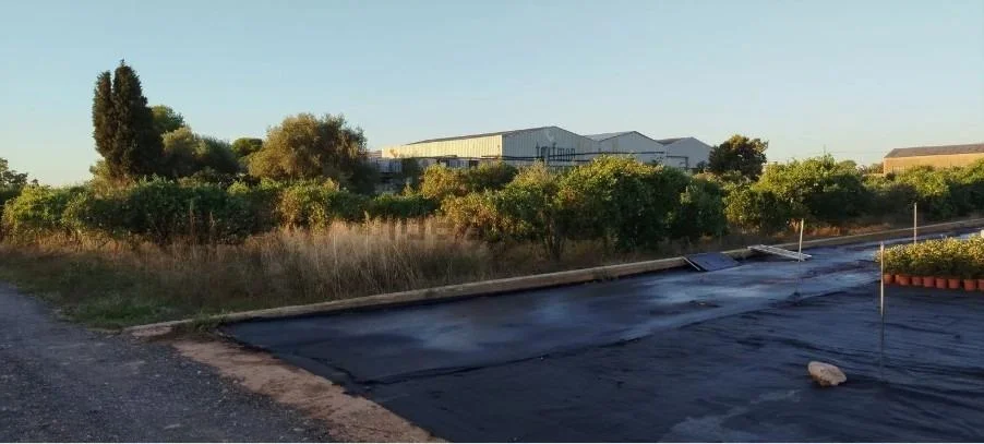 Terreno rústico con edificio de 335 m²