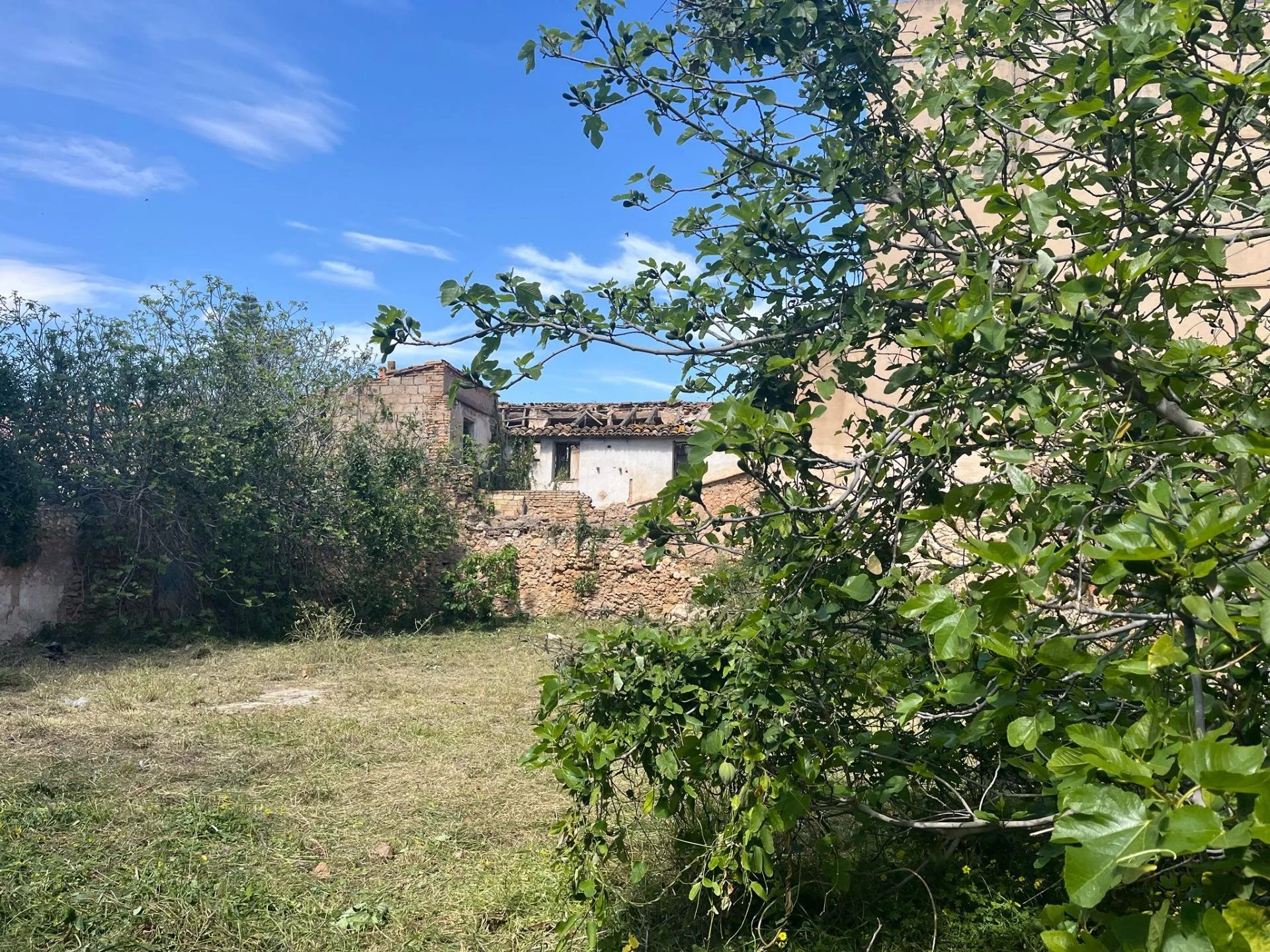 Urban plot in Benimámet, 500 m²
