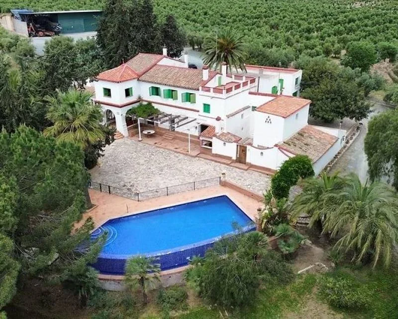Ecological olive estate, 165 hectares
