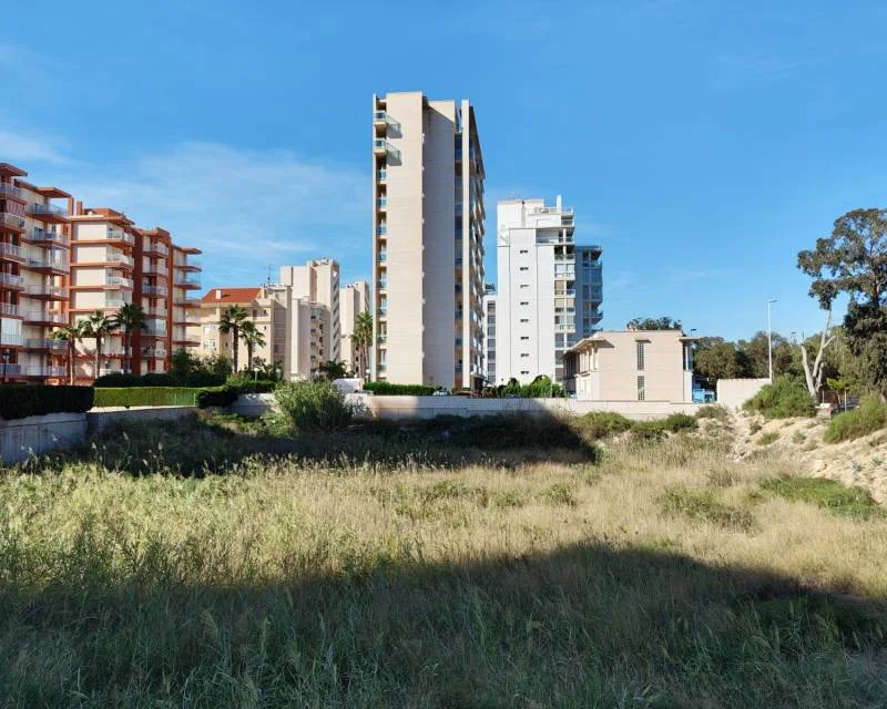 Solar urbano para desarrollo cerca de Guardamar