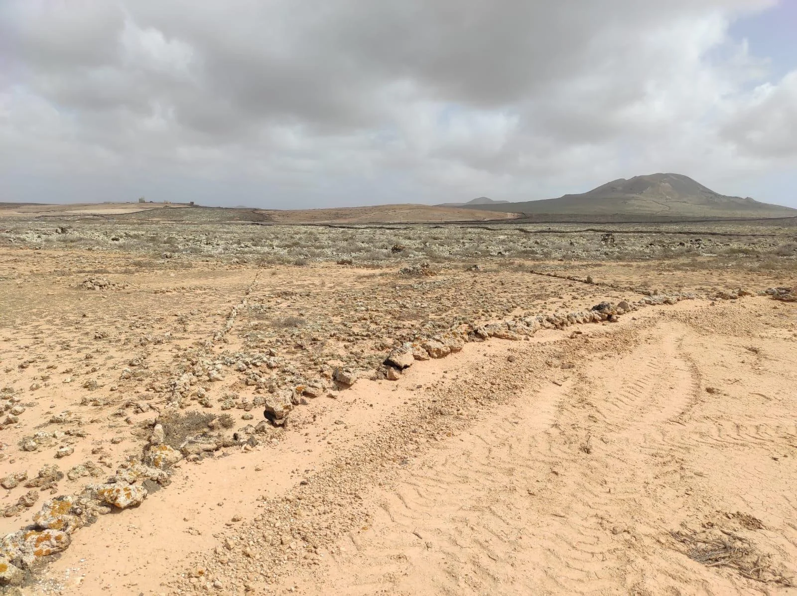 Agricultural plot in Lajares, 3,633 m²