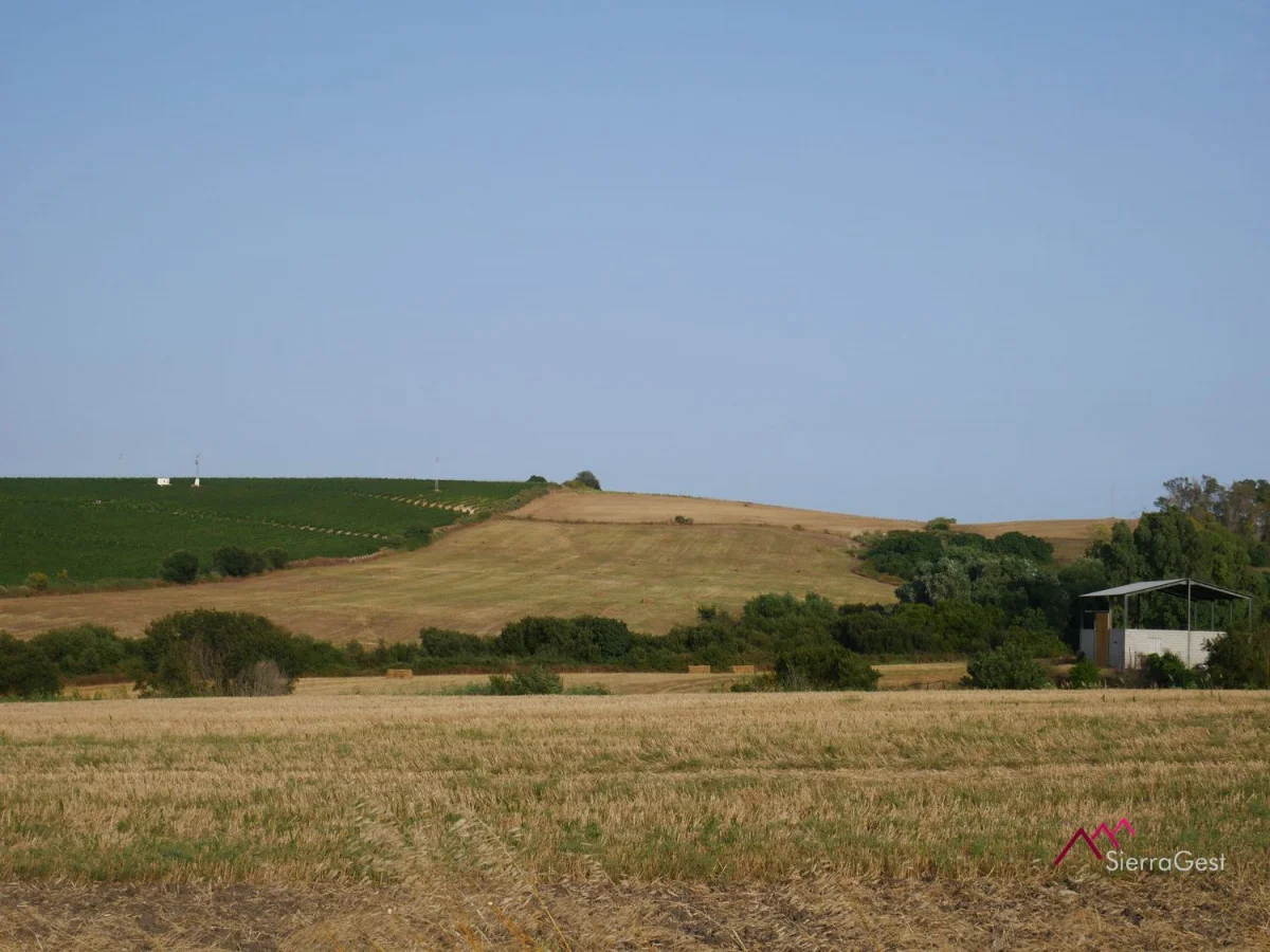 Cultivated land with agricultural warehouse