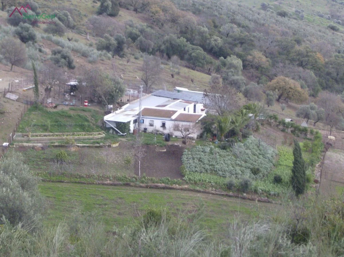 Finca rústica con casa y olivar