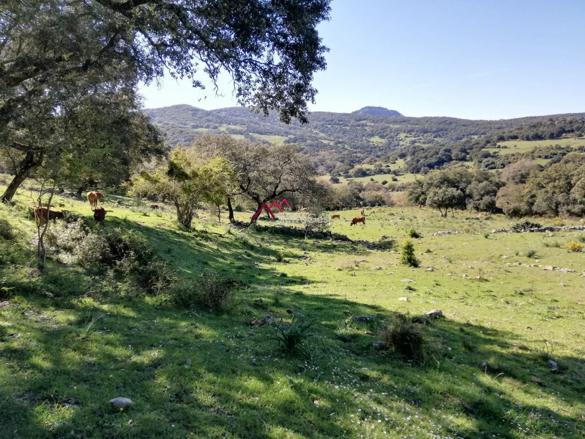 Rural estate with 17-hectare plot