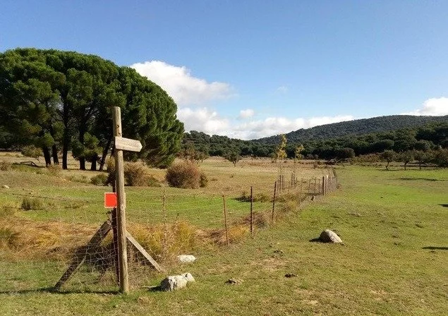 Rural plot with 30 m² outbuilding