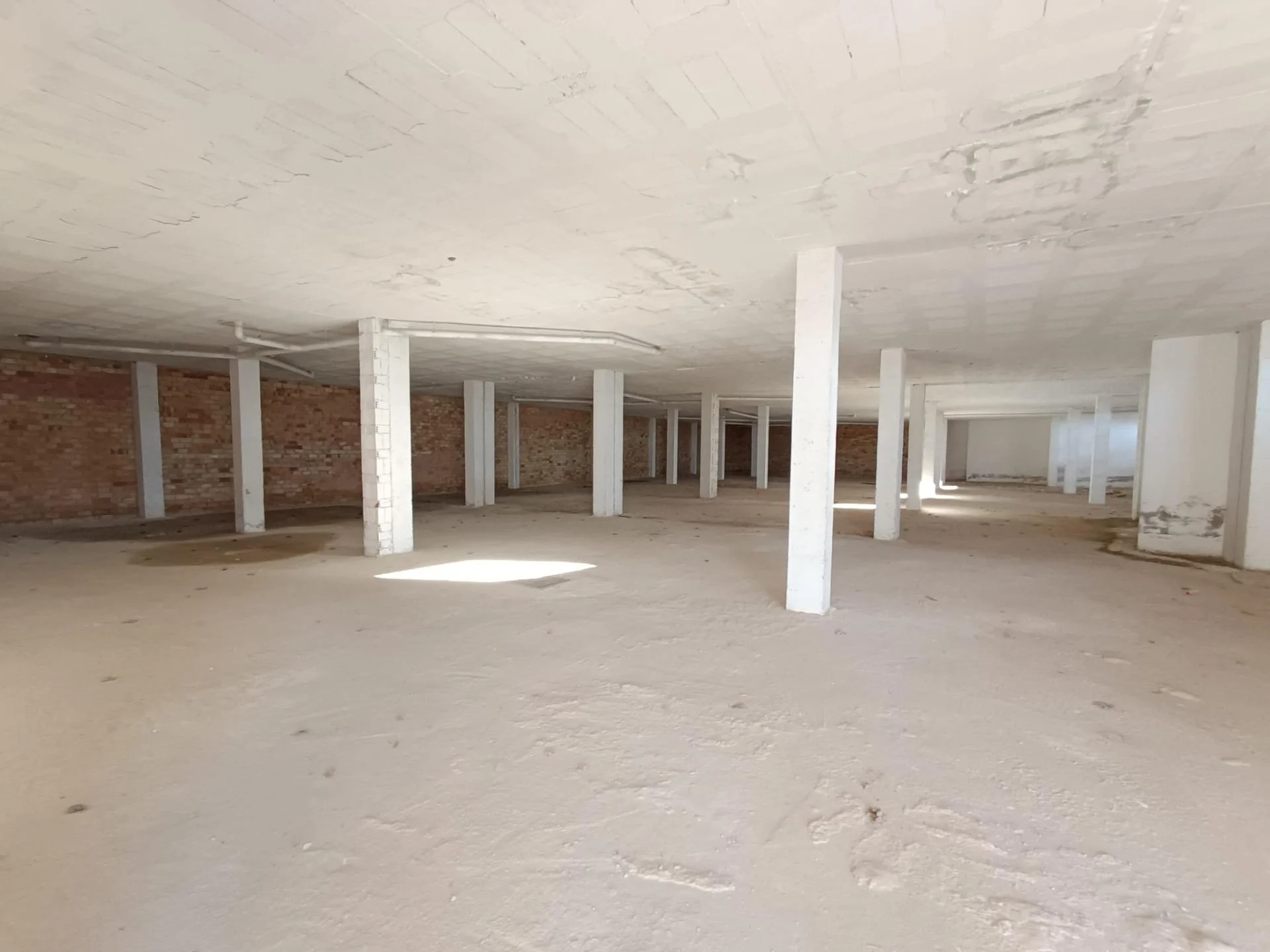 Large commercial premise in Cortes