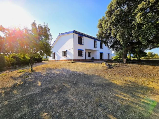 Rural chalet on 26,798 m² plot