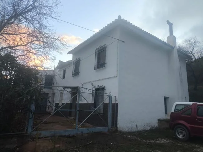 Cortijo para reformar con olivar