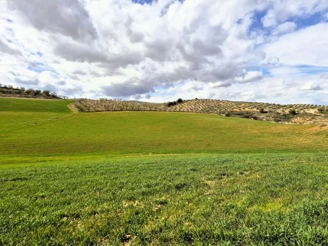 226-hectare agricultural estate with water