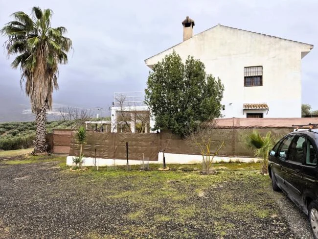 Rural olive finca with renovated cortijo