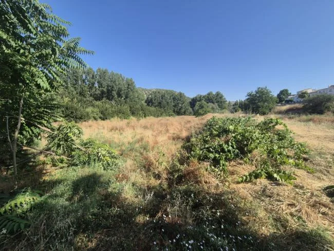 Rural finca near Algarinejo, 8,000 m²