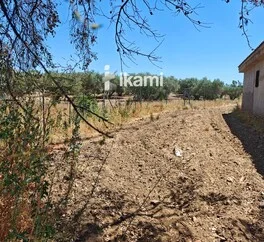 Chalet rural con finca de 5,6 hectáreas