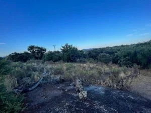 Terreno rústico cerca de Aldea del Cano