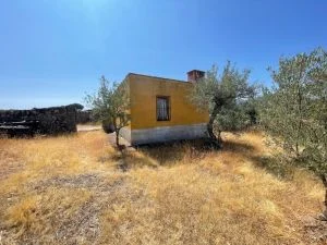Parcela rural en Valdefuentes con olivar