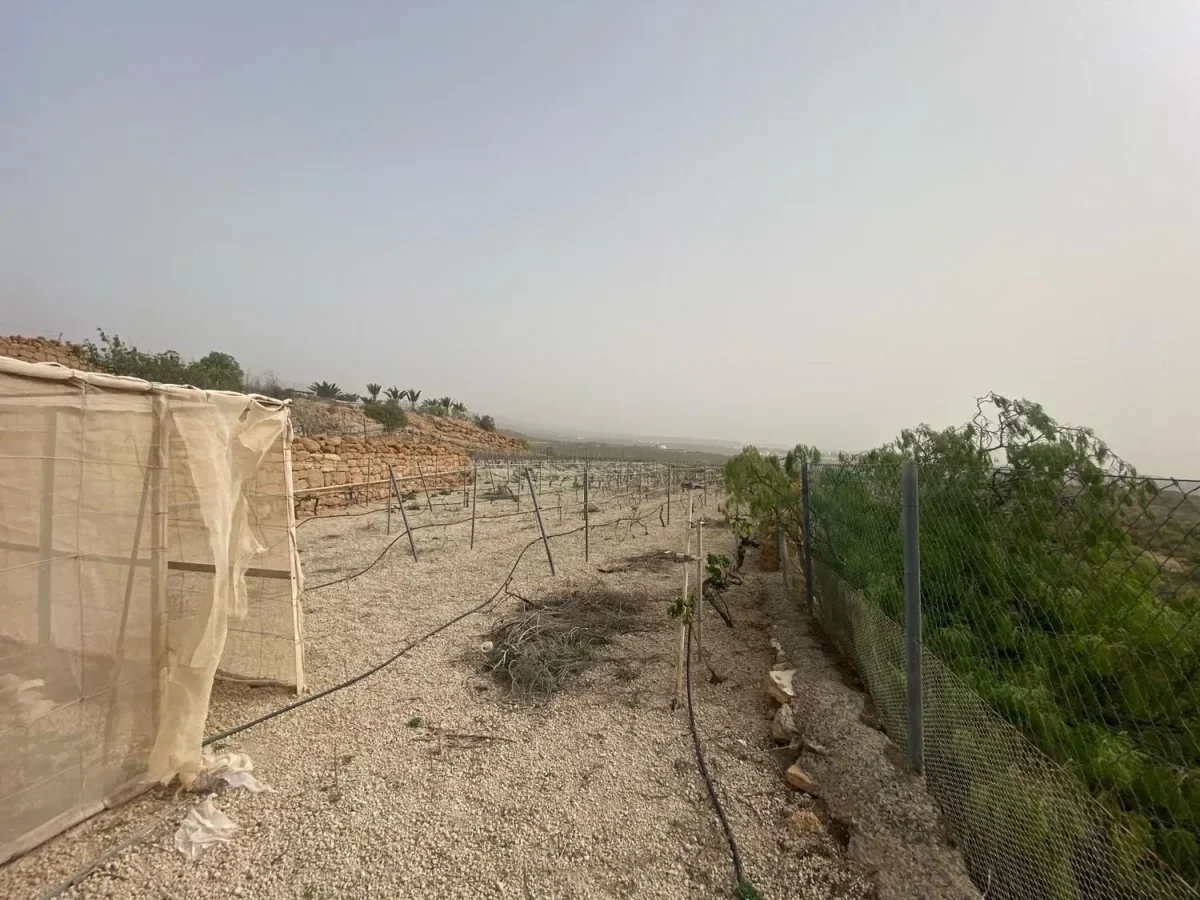 Terreno vallado para cultivo con vistas