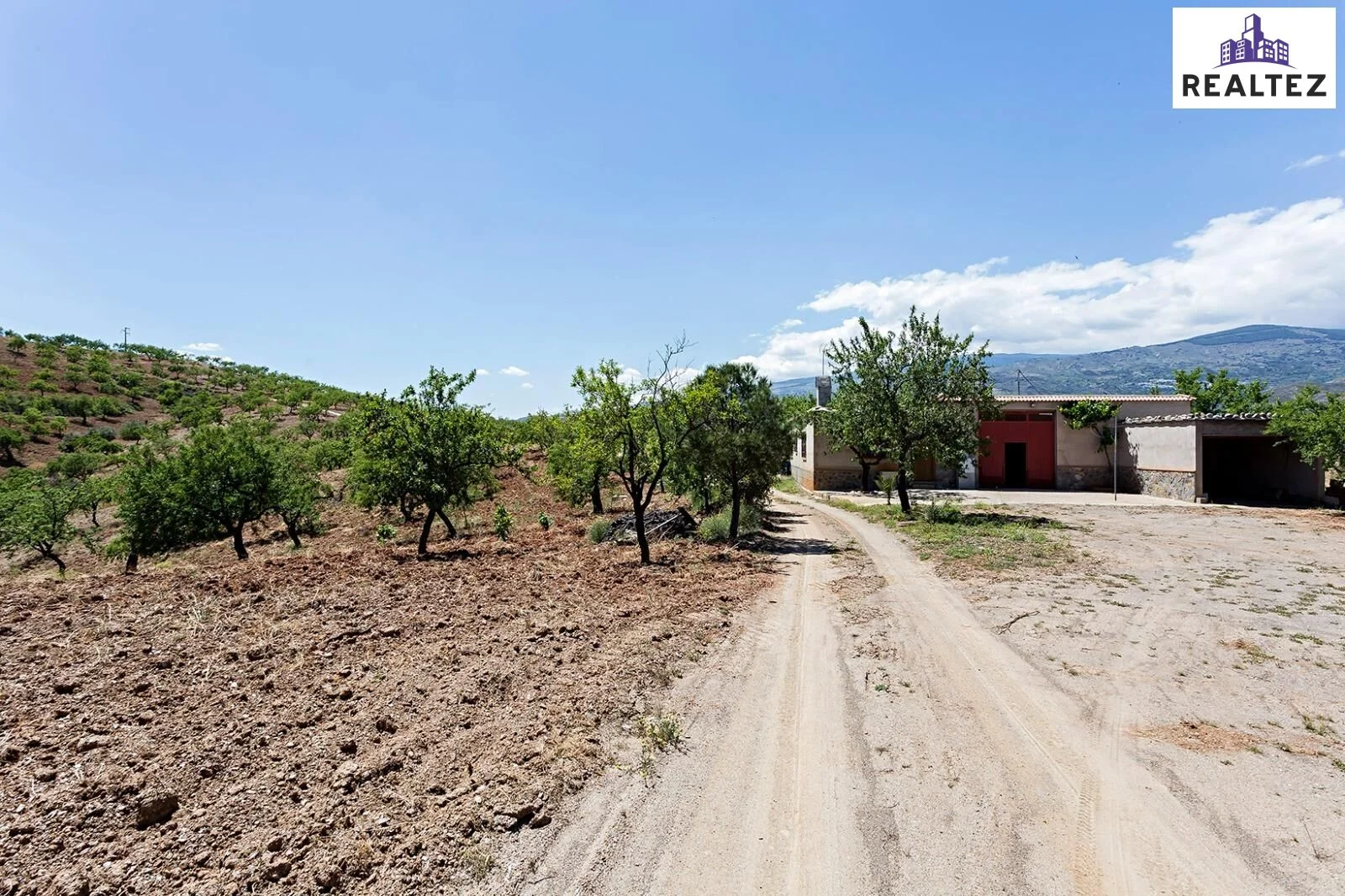 Finca de almendros con cortijo rural