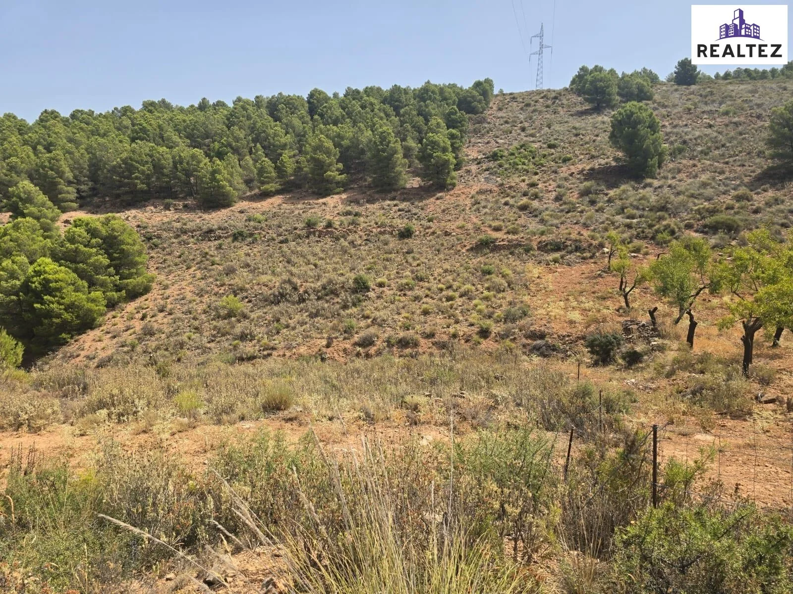 Large rural plot in Alcolea