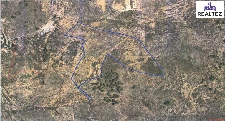Large rustic plot near Alcolea
