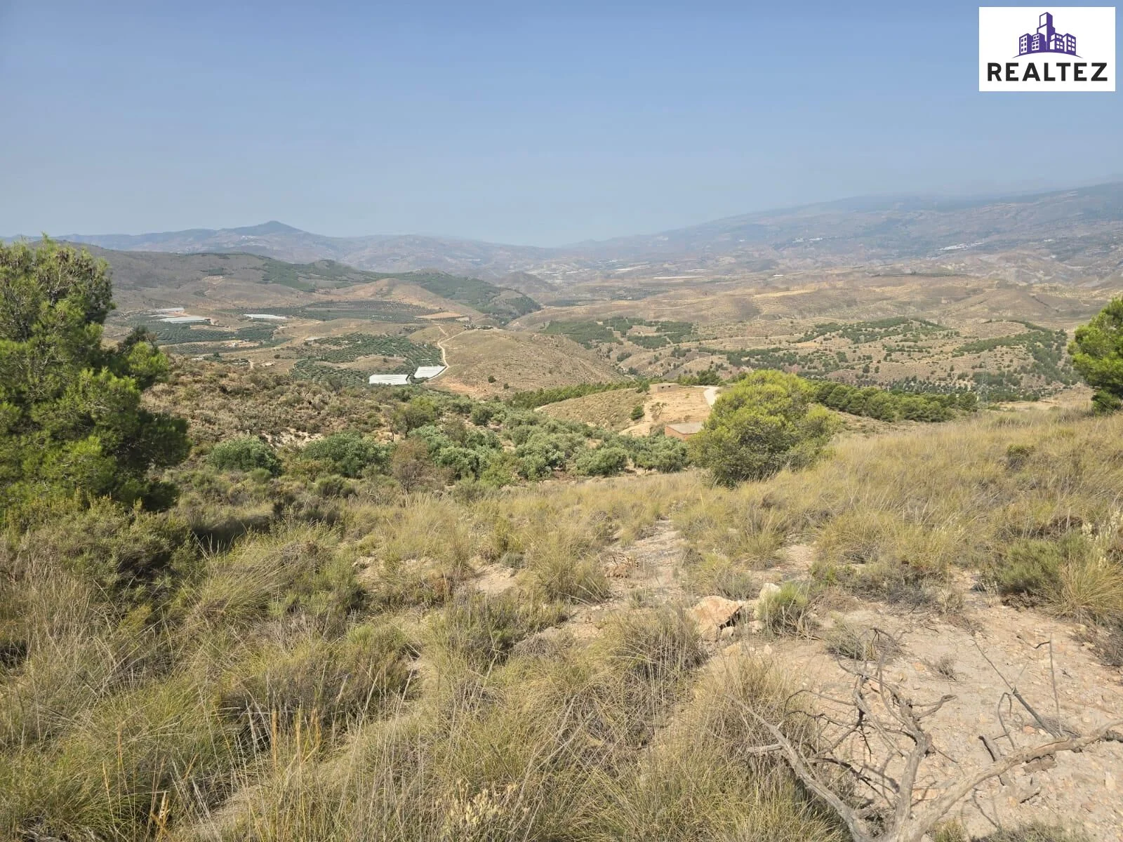 Gran parcela rústica cerca de Alcolea