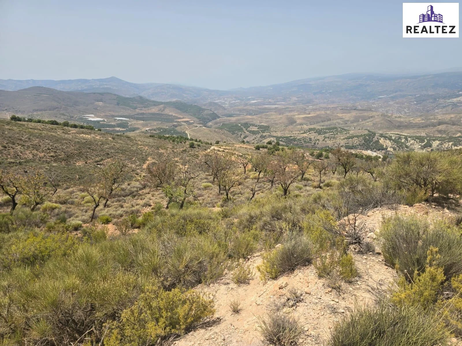 Rustic Alcolea land with mountain views