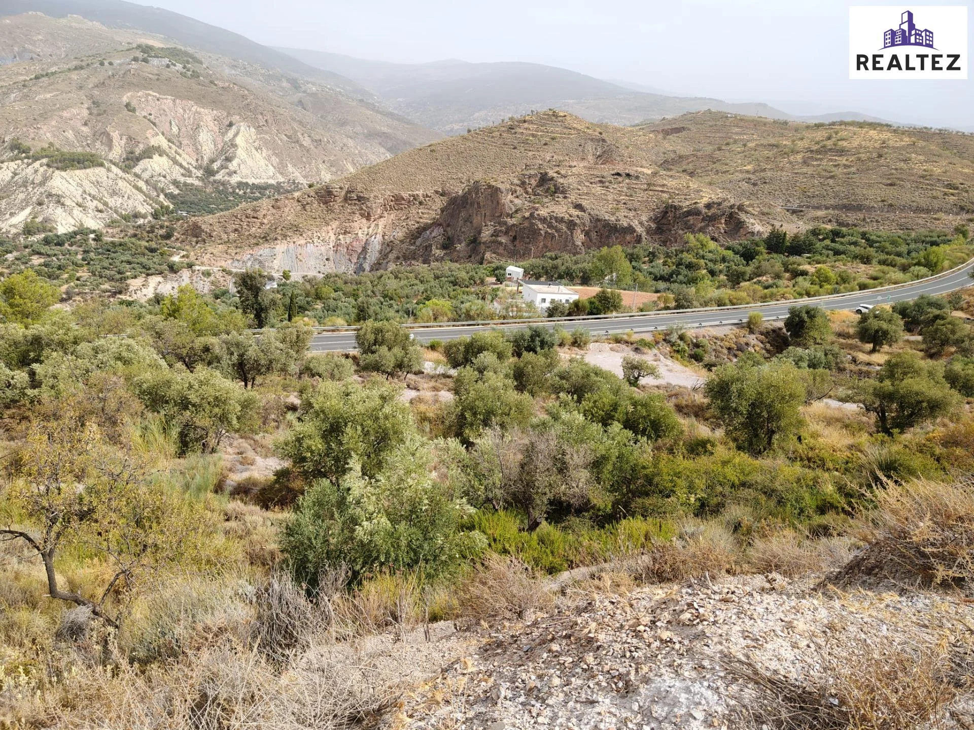 Gran parcela rústica en Alcolea con vistas