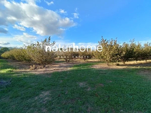 Local comercial visible en Alcover, 151 m²