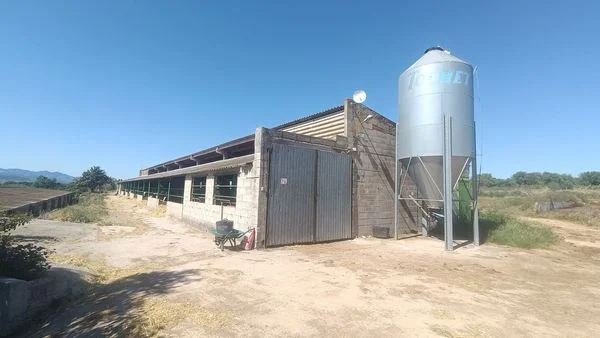 Instalación ganadera operativa en Marçà