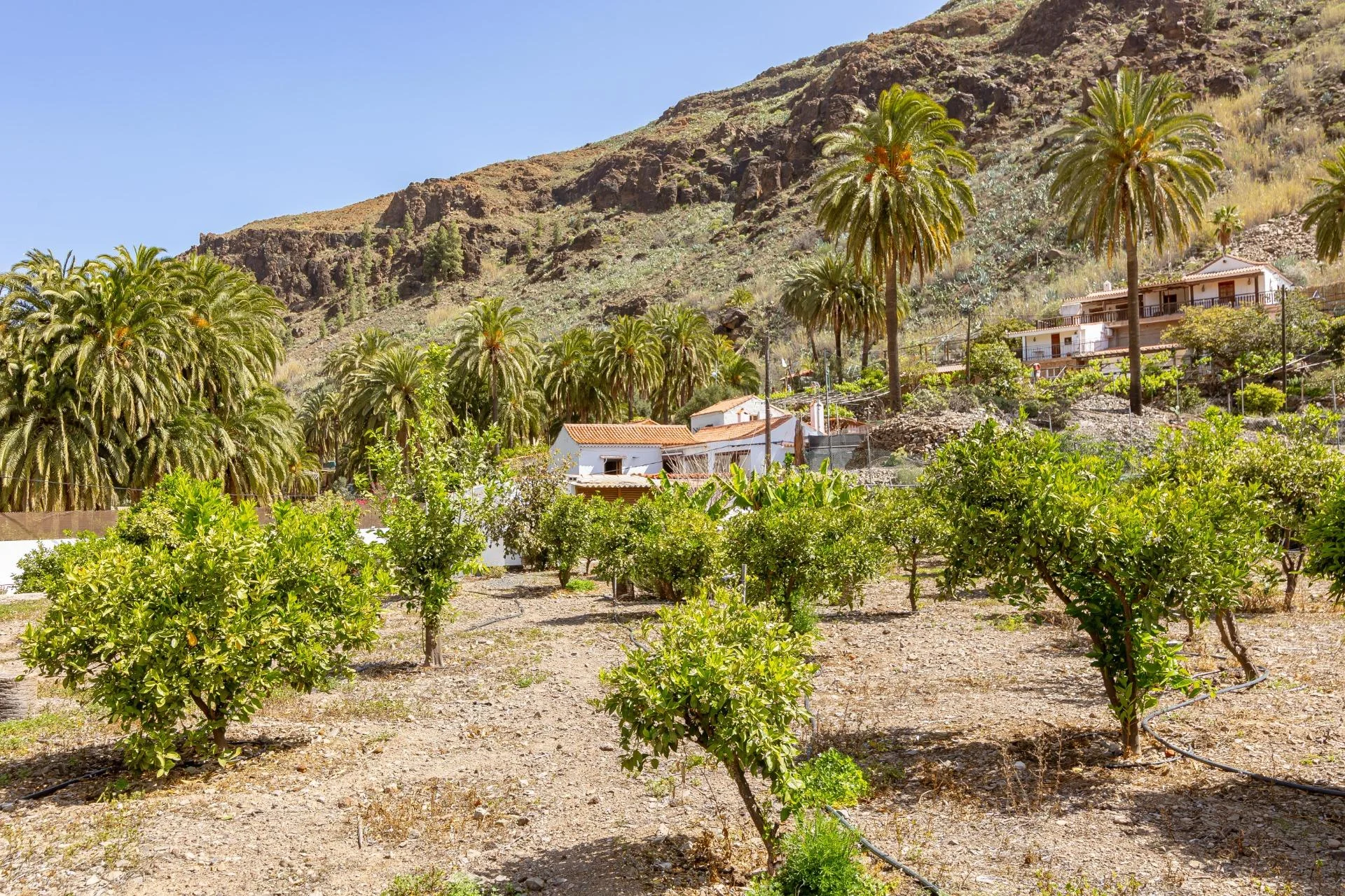 Finca rural en Fataga con apartamento