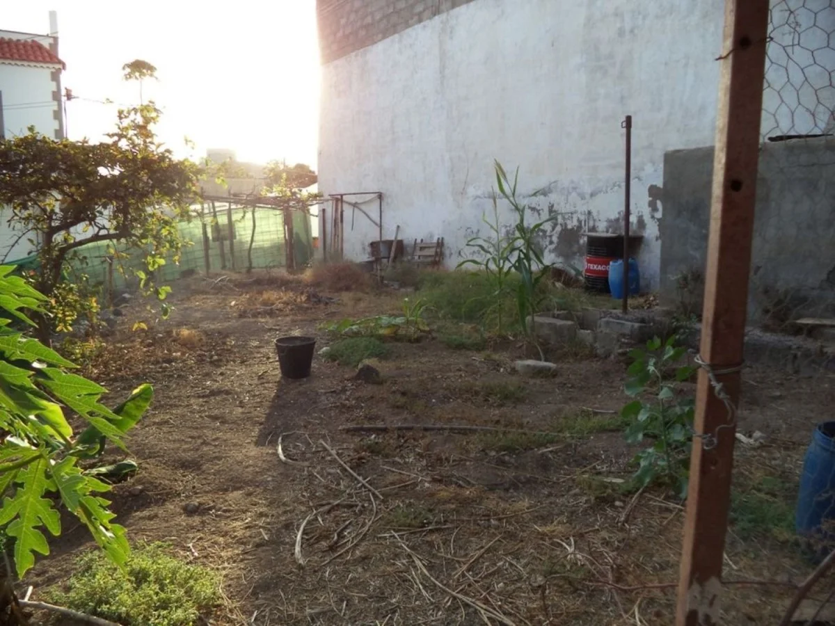 Carrizal plot with three-storey potential