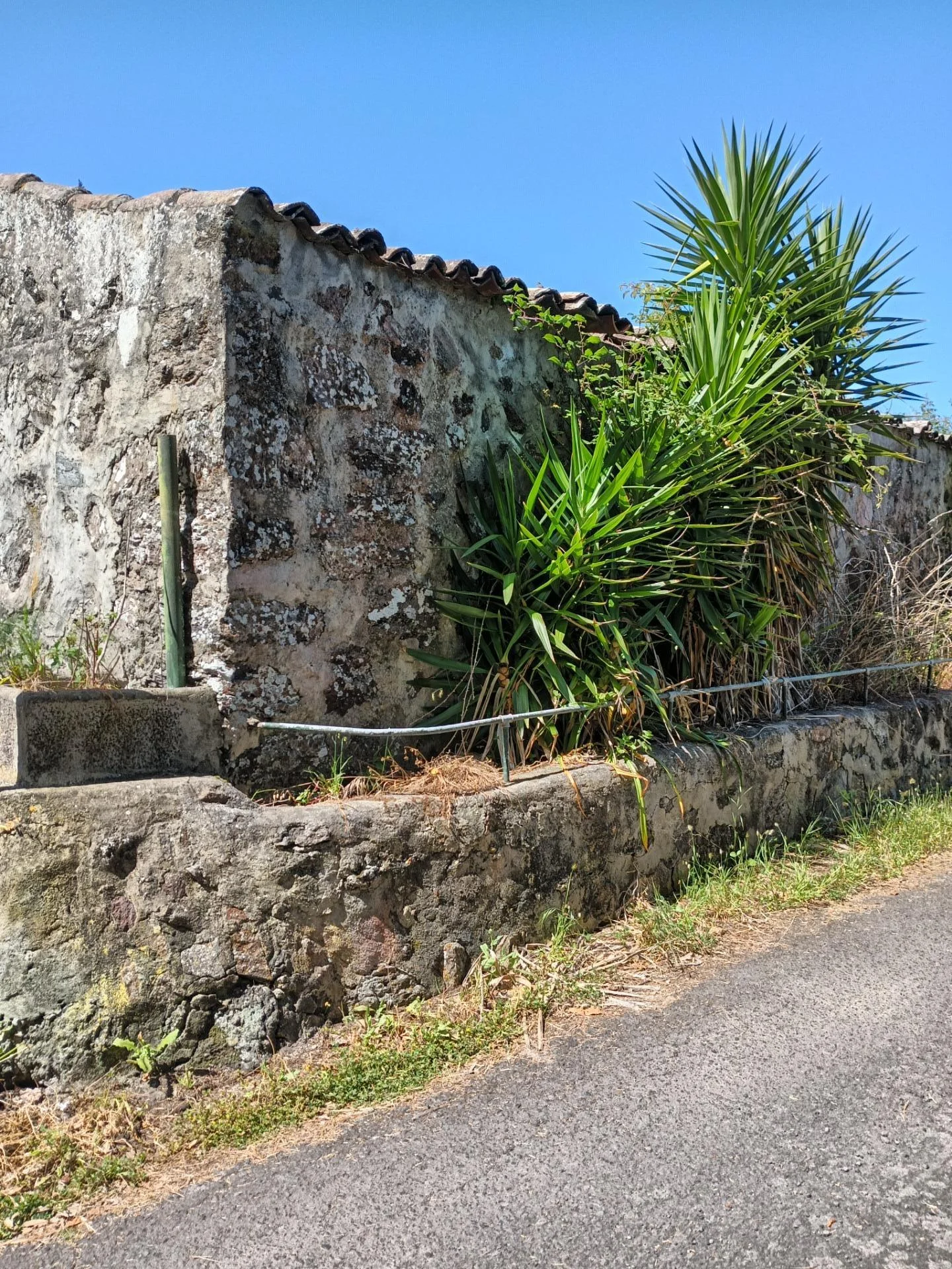 Propiedad rústica en La Montañeta, 98 m²