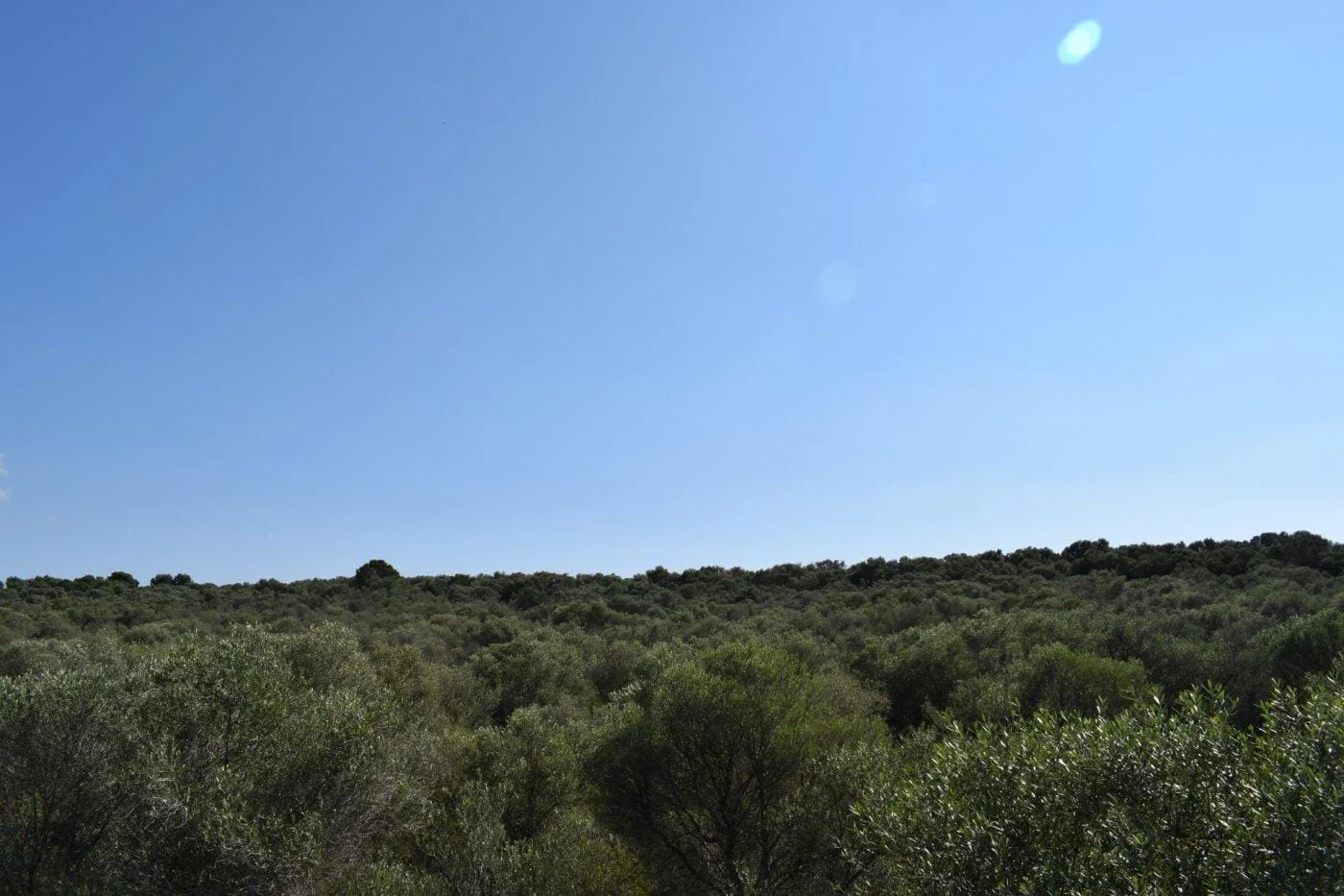 Chalet en Campos con parcela de 65.000 m²