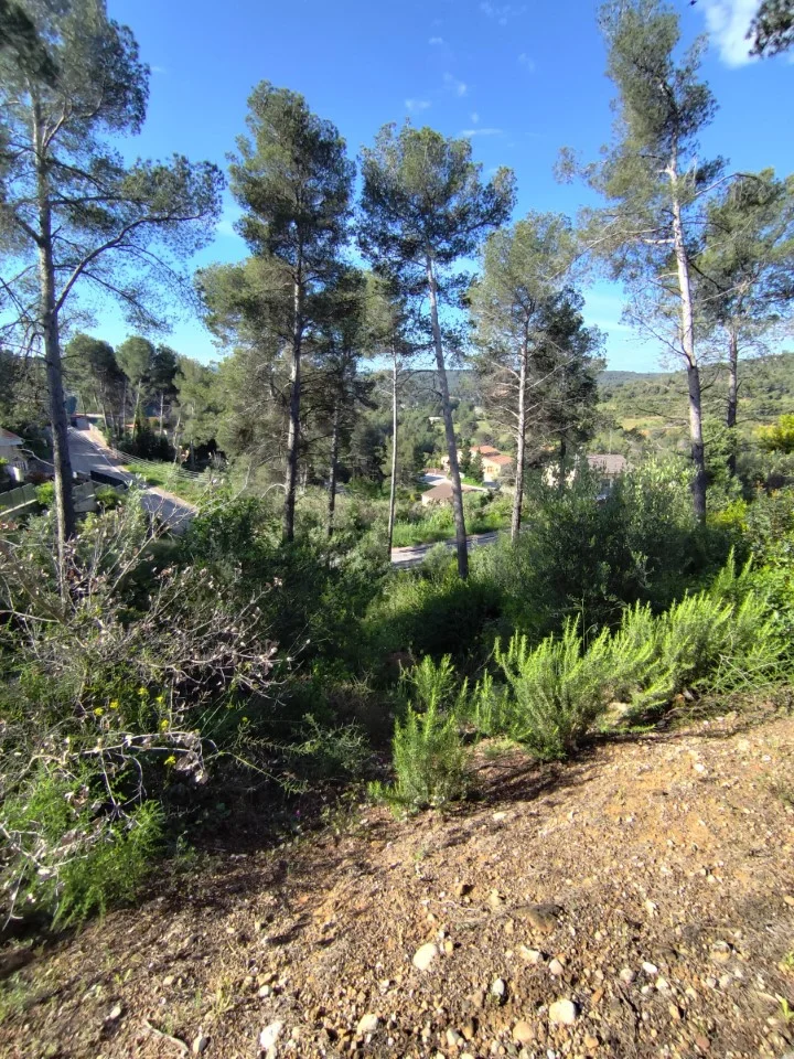 Piera residential plot, 777 m²