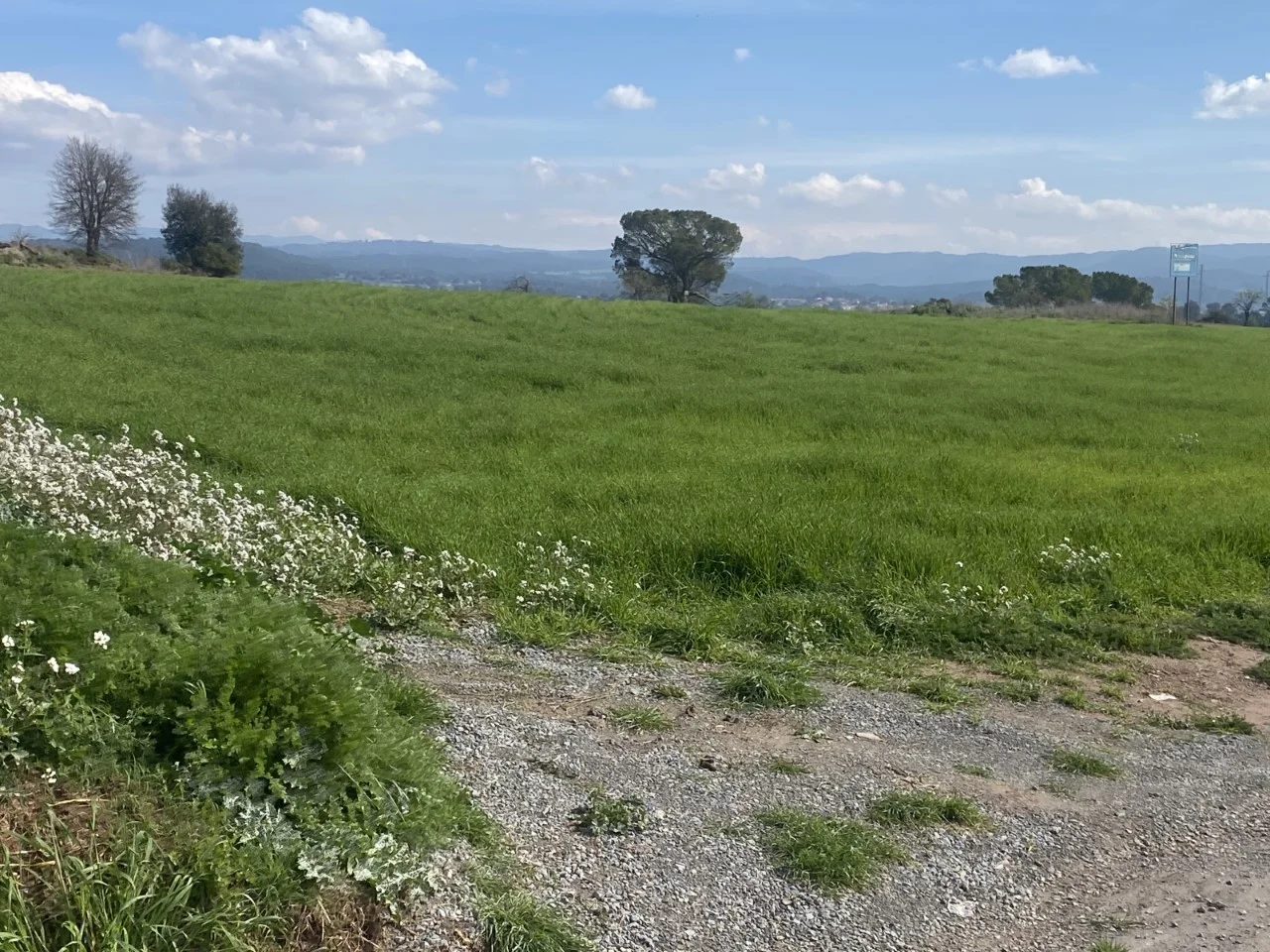 Parcela de 118 m² en Sant Fruitós