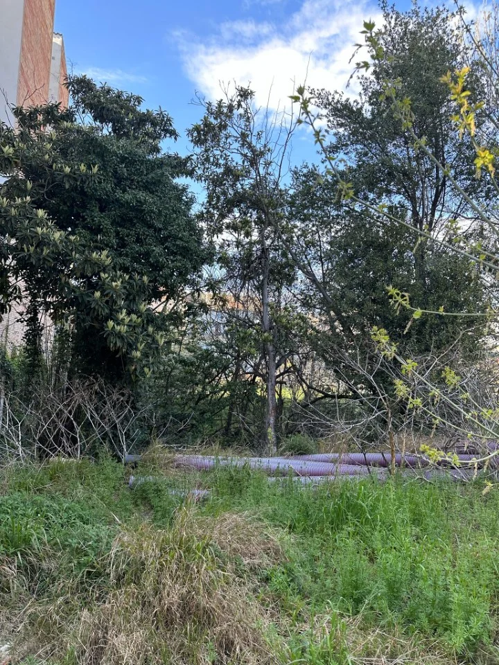 Urban land share in Capellades centre